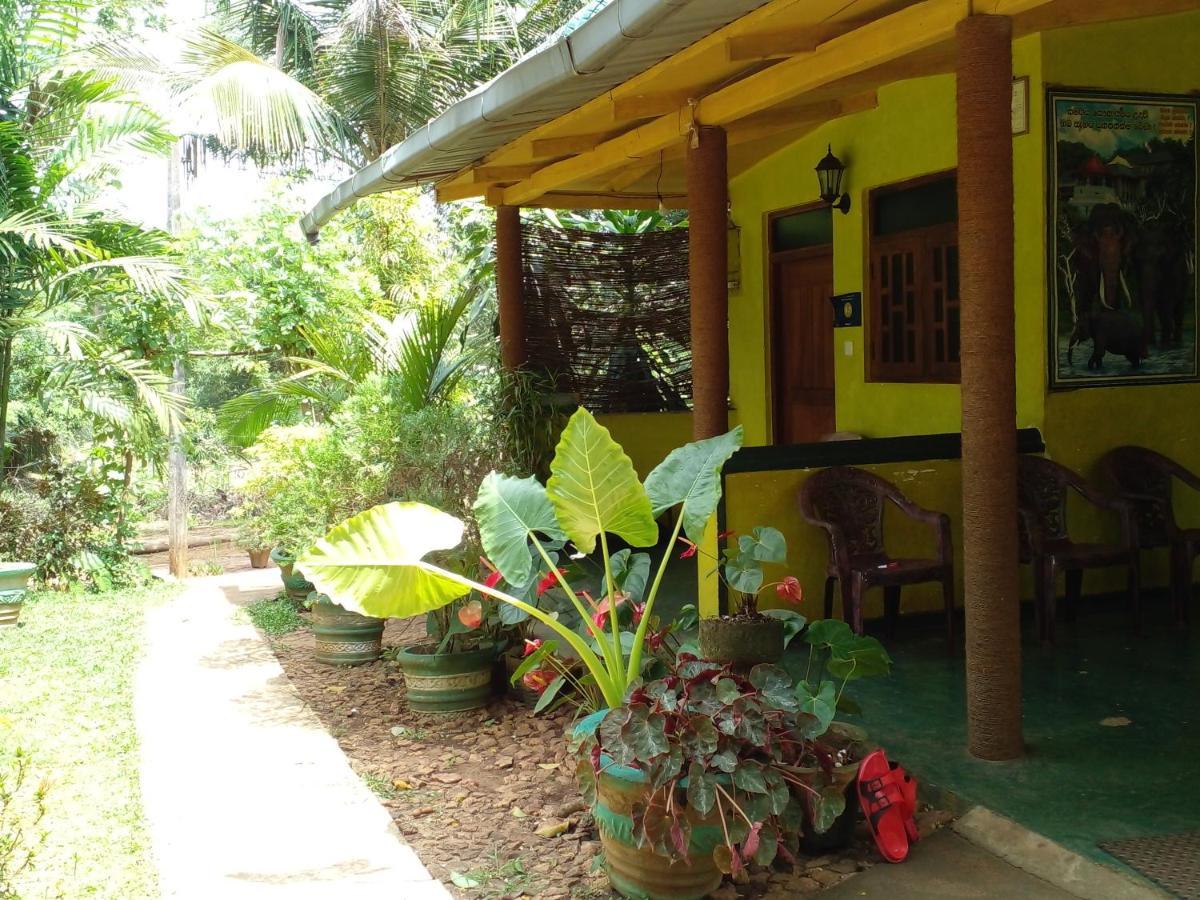 Sigiri Neo Homestay Sigiriya Exterior foto