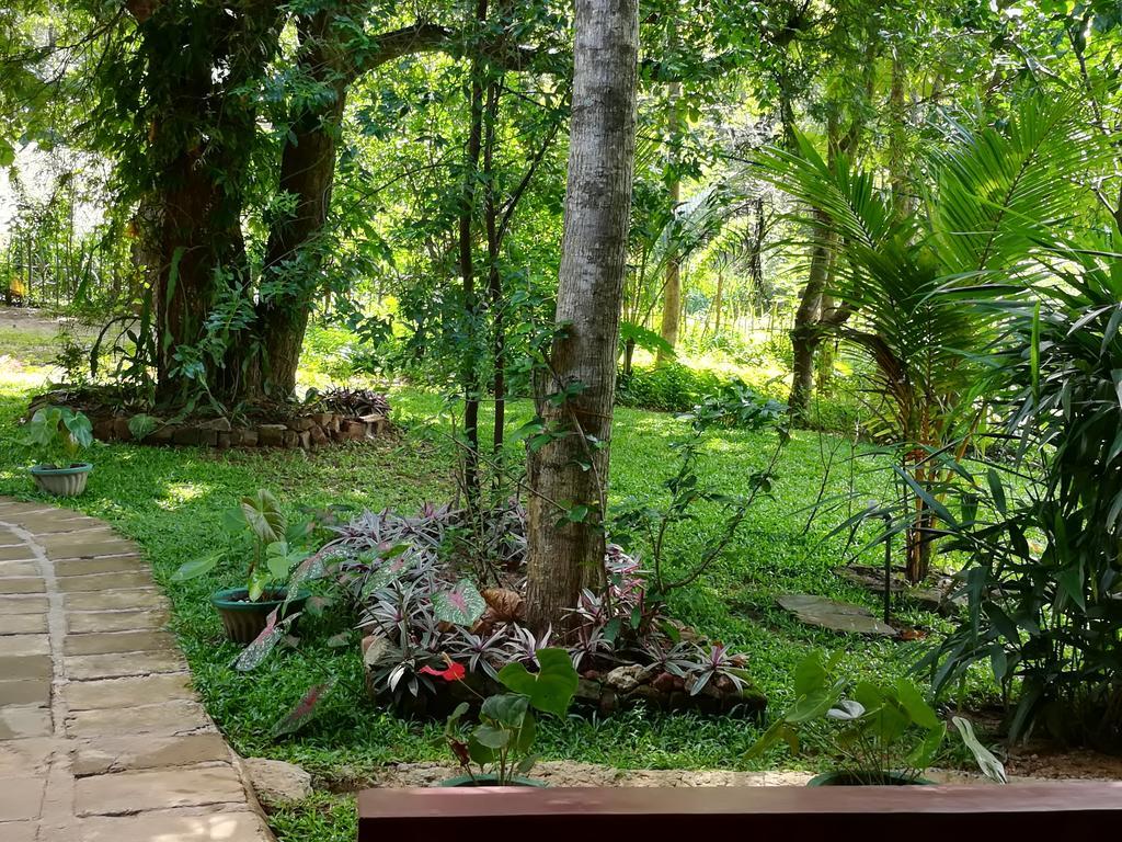 Sigiri Neo Homestay Sigiriya Exterior foto