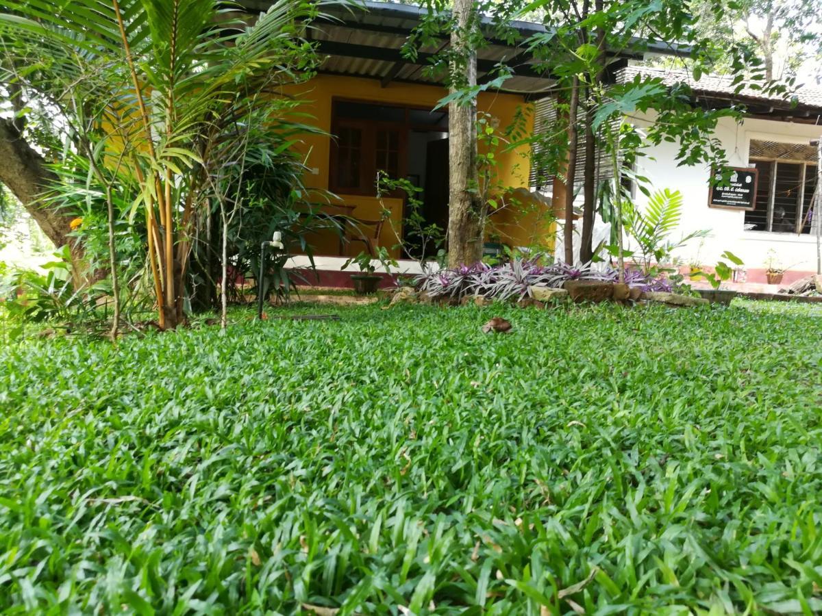 Sigiri Neo Homestay Sigiriya Exterior foto